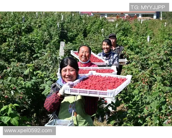 果园采摘季节来临，亲自体验果实丰收的喜悦与自然的魅力