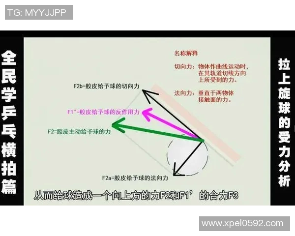 乒乓球深度解析北京乒乓球队反击战术与训练秘诀